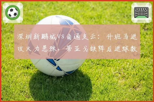 深圳新鹏城vs南通支云:升班马进攻火力悬殊,蒂亚戈缺阵后进球数断崖式下跌
